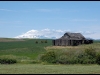 01_mtadams.jpg