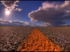 11_nevaderoad.jpg