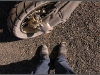 24_drylakedust.jpg