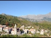 001_Vivario.jpg