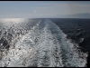 072_AtSea.jpg
