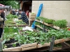 027_MarketGuierle