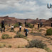 Canyonland and Arches National Parks